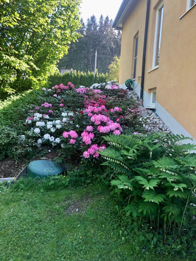 Ferienwohnung Am Wildbach bei Passau Saming Exterior foto