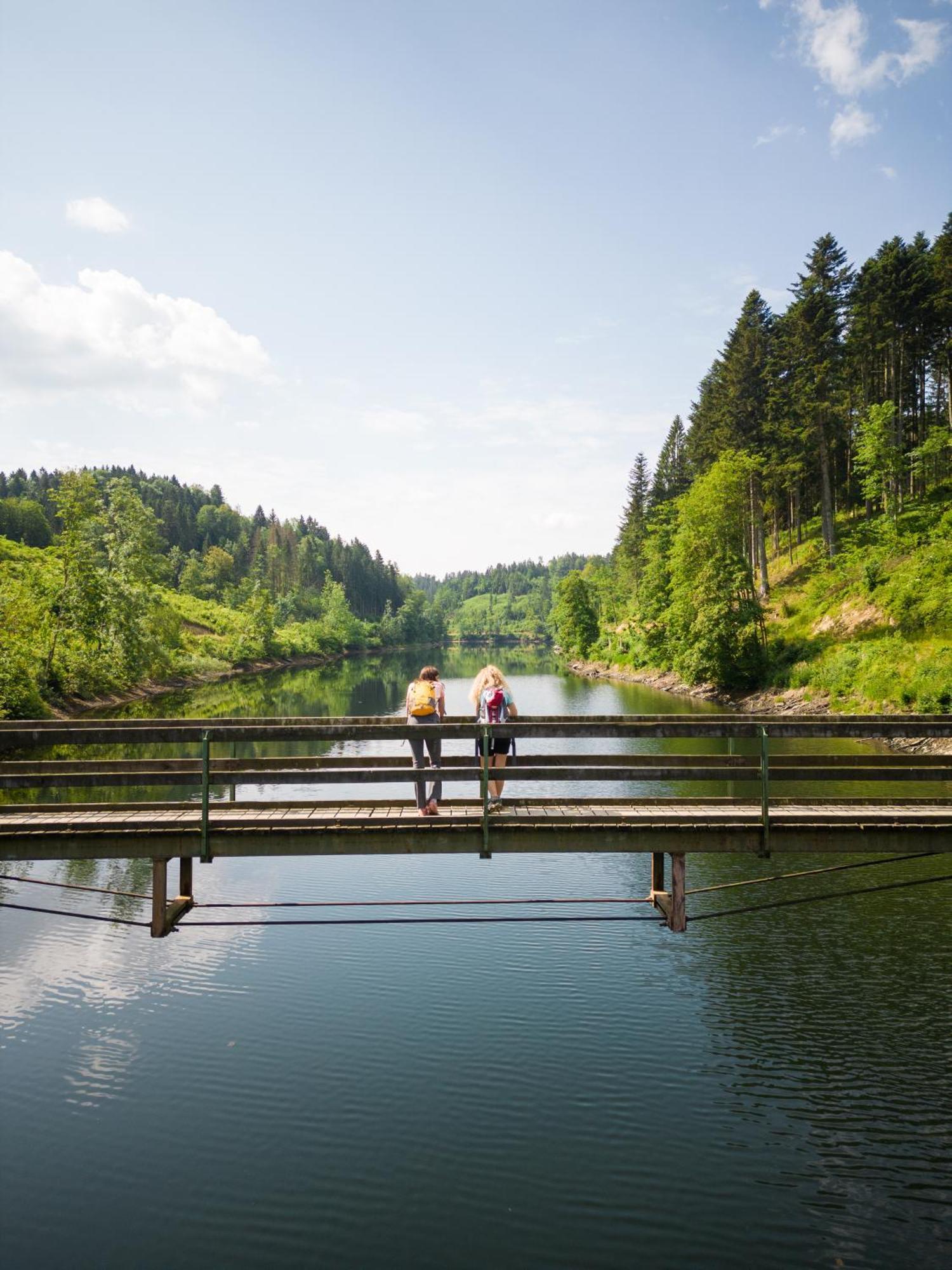 Ferienwohnung Am Wildbach bei Passau Saming Exterior foto